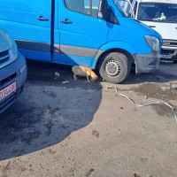 /album/229/565291204-2553677335018439-5506135631133940325-n-jpg2/