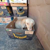 /album/229/568564597-2553677048351801-7121023639161021480-n-jpg2/