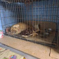 /album/229/564721805-2553676745018498-4876712436267462076-n-jpg2/