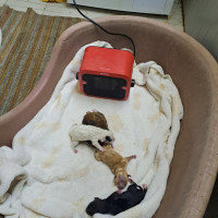 /album/229/562246171-2553675708351935-5262213402826891096-n-jpg2/