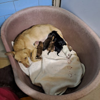 /album/229/564596810-2554713984914774-1325935199858616713-n-jpg2/