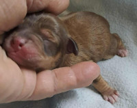 /album/229/586186636-1203781075183290-6250942465762659410-n-jpg/