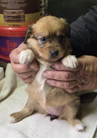 /album/19-11-20257/588406319-1203780635183334-29580806596257950-n-jpg/