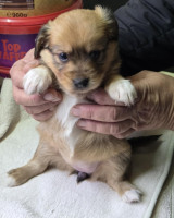 /album/19-11-20257/586010694-1203780698516661-5196110186932140187-n-jpg/