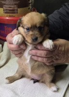 /album/19-11-20257/587395553-1203780701849994-3715967954729617729-n-jpg/