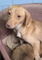 /album/19-11-20257/586743219-1203770815184316-3491595770408497817-n-jpg2/