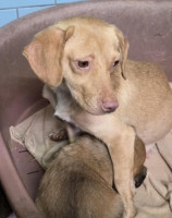 /album/19-11-20257/586167003-1203770711850993-15376827451650923-n-jpg2/