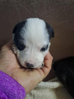 /album/237/588471360-1203785408516190-3763554009127799952-n-jpg/