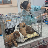 /album/237/587736525-1203801298514601-8257113248659514351-n-jpg3/