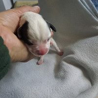 /album/237/567676112-2554713518248154-622742334258888329-n-jpg/