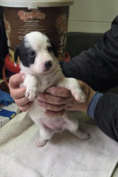 /album/19-11-20258/587683029-1203785348516196-7011708834877964019-n-jpg/