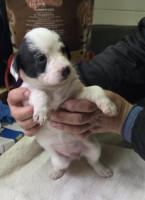 /album/19-11-20258/589360563-1203785345182863-2474937644487071852-n-jpg/