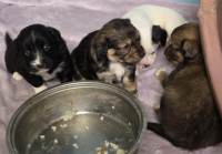 /album/19-11-20258/587752702-1203789368515794-4632004633887772941-n-jpg3/