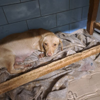 /album/244/565246838-2553676428351863-3571009627558106450-n-jpg2/