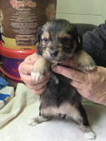 /album/19-11-20259/586626534-1203796961848368-8065200347740265533-n-jpg/