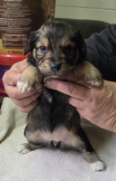 /album/19-11-20259/588545466-1203796938515037-478163539205772273-n-jpg/