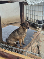 /album/18-11-20254/593482408-1182386077330639-6117447838994063099-n-jpg/