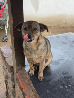 /album/18-11-20254/593585616-1182386330663947-4722094366007231580-n-jpg/