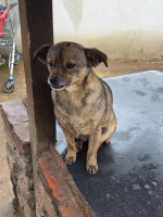 /album/18-11-20254/594076679-1182386287330618-8279656033255394840-n-jpg/