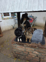 /album/18-11-20254/592909771-1182386107330636-5990382187047008612-n-jpg/