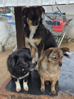 /album/18-11-20254/592889581-1182386263997287-5379022253062565373-n-jpg/