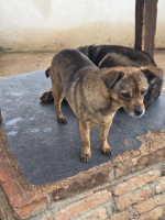 /album/18-11-20254/594466303-1182386053997308-4781739667964097820-n-jpg/