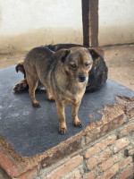 /album/18-11-20254/594076679-1182386020663978-8799409770725784302-n-jpg/