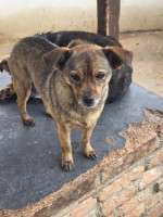 /album/18-11-20254/592947142-1182386113997302-1254669730763243396-n-jpg/