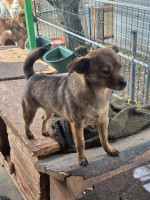 /album/18-11-20254/592920960-1182386230663957-8272681663193530625-n-jpg/