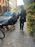 /album/04-12-20251/img-20251109-wa0106-jpg/