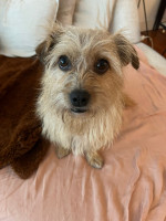 /album/04-12-20251/img-20251109-wa0105-jpg/