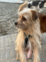 /album/04-12-20251/img-20251205-wa0008-jpg/