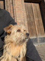 /album/04-12-20251/img-20251205-wa0006-jpg/