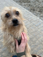 /album/04-12-20251/img-20251205-wa0007-jpg/