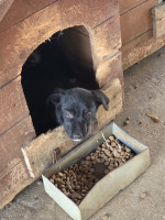 /album/101/595548686-1212402484321149-1832545142061038102-n-jpg/