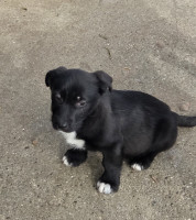 /album/101/595902770-1212402327654498-7398212962229505123-n-jpg/