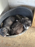 /album/101/595934755-1212402317654499-4450841569273210983-n-jpg/