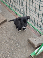 /album/101/595791055-1212402307654500-3410093644250727134-n-jpg/