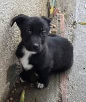 /album/101/595727886-1212402244321173-1876941530653666886-n-jpg/