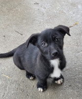 /album/101/596084025-1212402164321181-8129288277737309947-n-jpg/