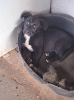 /album/101/588800785-2586394368413402-3022941414182828300-n-jpg/