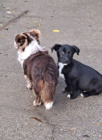 /album/101/587604717-2586393855080120-71989932543270144-n-jpg/