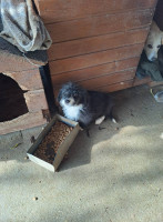 /album/179/586242370-2586394168413422-4913204614280022640-n-jpg/