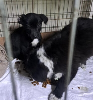 /album/179/595804344-1212405624320835-8762675460498748970-n-jpg/