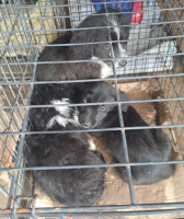 /album/179/594134674-1212405594320838-6517889906715971190-n-jpg/