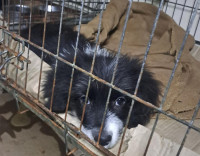 /album/179/595711972-1212405460987518-4123251308769468014-n-jpg/