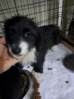 /album/179/594042393-1212405144320883-2517476361205871431-n-jpg/