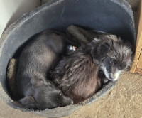 /album/179/595443115-1212405317654199-6564128341098007853-n-jpg/