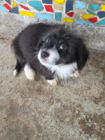 /album/179/595749614-1212405140987550-229581715082002984-n-jpg/