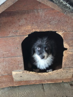 /album/179/595700513-1212405137654217-2977098720214147227-n-jpg/